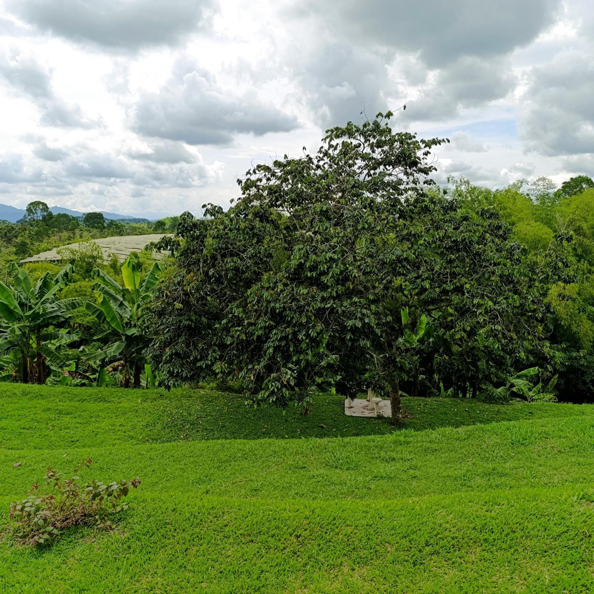 Hotel Campestre Los Mangos Quimbaya Exterior photo